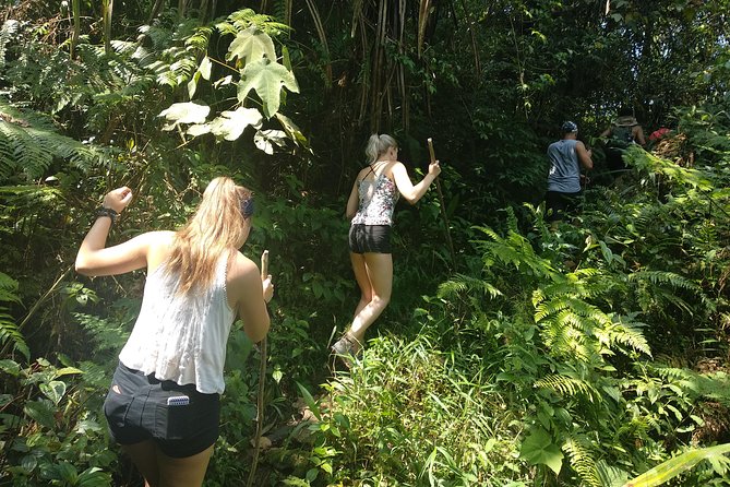 volcano hike and jungle trekking adventure - Lunch, water, and the value of $76.89
