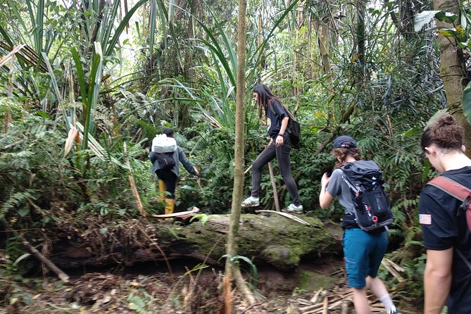 volcano hike and jungle trekking adventure - Weather, trail conditions, and what to pack