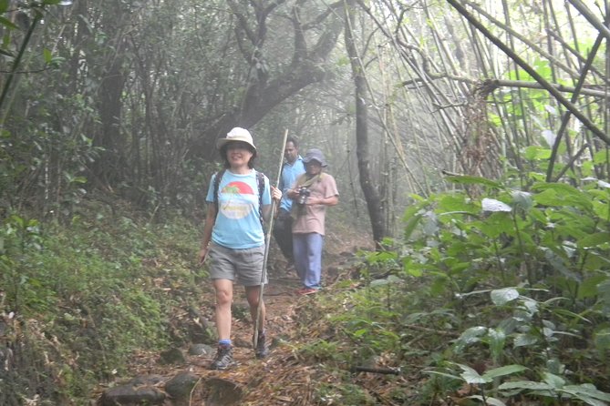 Waterfall Trekking in Knuckles Mountain Range - Why the Knuckles Range makes a good day trip from Kandy