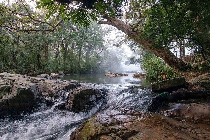 Waterfall Trekking in Knuckles Mountain Range - The tuk tuk ride starts the adventure