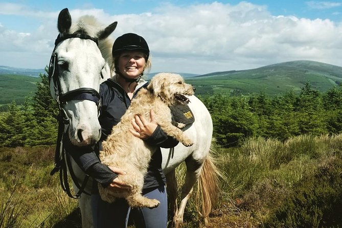 Wicklow Mountains Horse Trekking - Why horseback is a fine way to see Wicklow