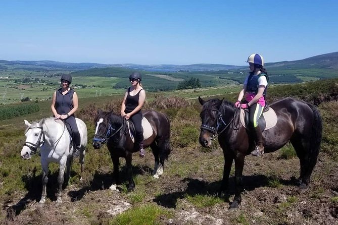 Wicklow Mountains Horse Trekking - Following the Kings River valley