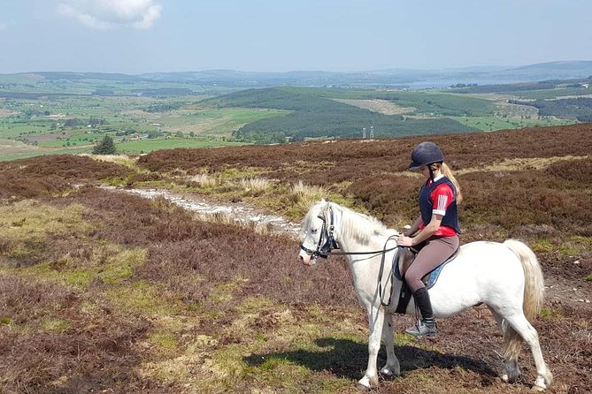 Wicklow Mountains Horse Trekking - Lake riding and the chance to canter