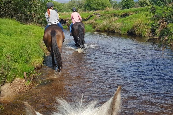Wicklow Mountains Horse Trekking - The guides make the difference