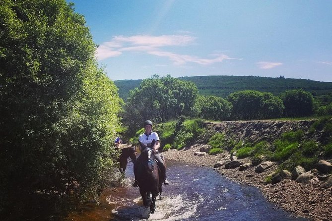Wicklow Mountains Horse Trekking - What the 1 hour 20 minutes gives you