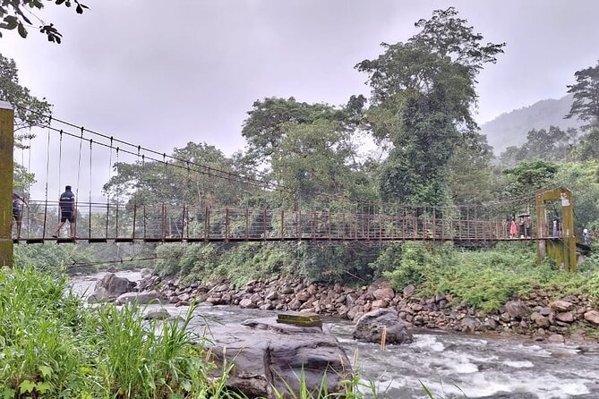 Wild Elephant Anakulam & Waterfalls Tour(munnar valley Trekking) - What the private jeep setup means