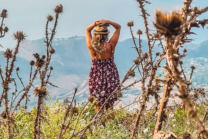 Wild Walk – Discovering the hidden paths - Is the $468.55 group price fair?