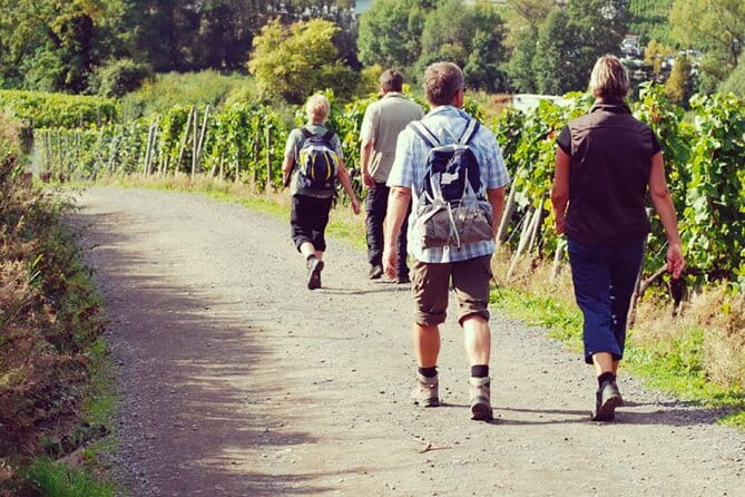 Wine Hiking Sip & Trek - Key points to know before booking