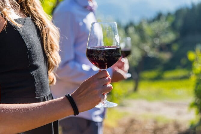 Wine Hiking Sip & Trek - The 7.9-kilometer castle stop