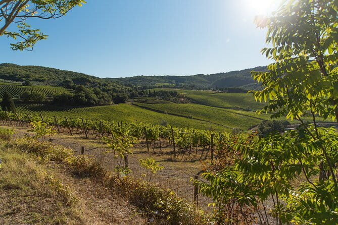 Wine Hiking Sip & Trek - Walking the hills around Montespertoli