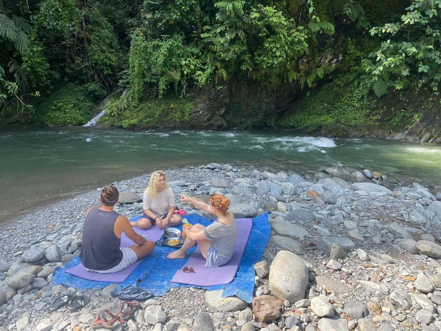 Wonderfull Orangutan Sumatera Jungle Trekking and tour - What this Sumatran jungle trek is really about