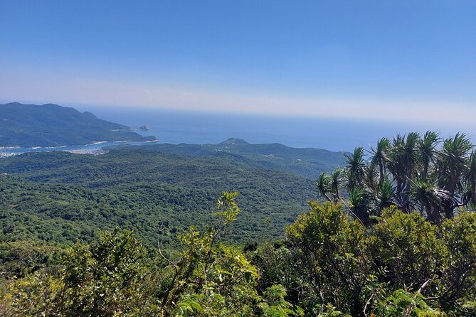 Wonders of Nui Chua National Park - Day Trek in Vinh Hy Bay - Starting at 7:30 am in Vinh Hy