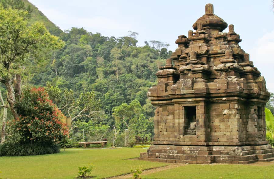 Yogyakarta: Selogriyo Temple Tour & Java Rice Terrace Trek - What the $55 price covers